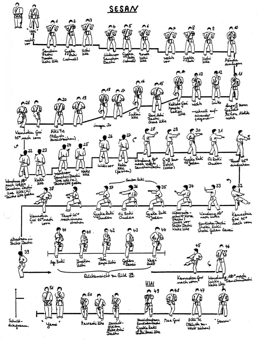 Schritt Diagramm Seisan